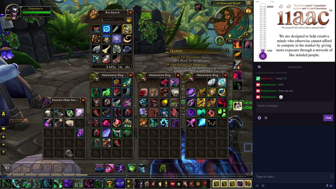 The most Unprofessional Stream World of Warcraft Demon Hunter 2017-039 I Rewrite the Quests