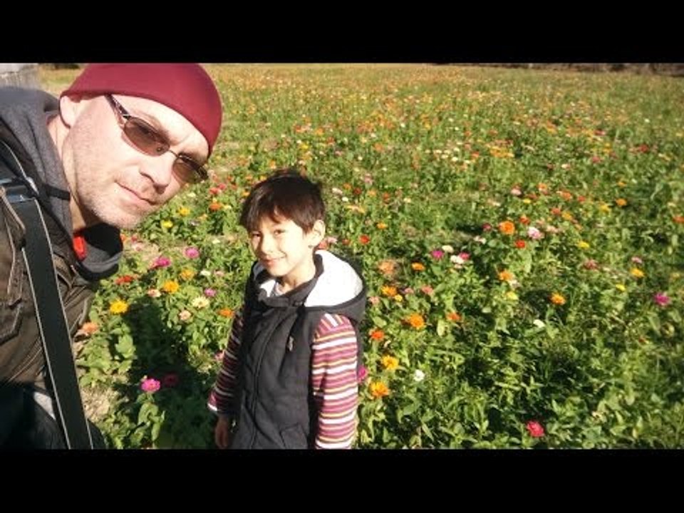 M13's NEW DRONE and a TAIWAN YEARLY  FESTIVAL