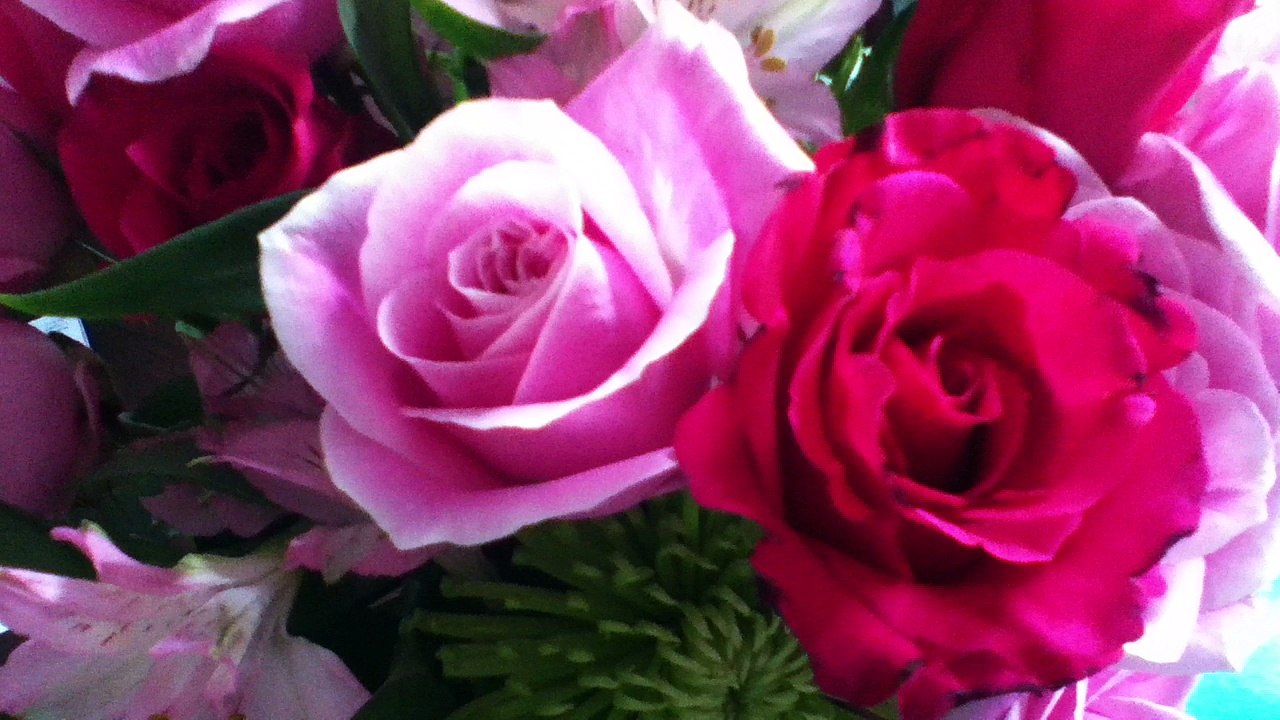 Z57 presents smelling the roses