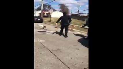 This Video Shows Police Using Taser on Dog in Roseville