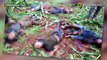 Penembakan anggota terduga teroris di kota Tuban, 6 tersangka tewas - TomoNews