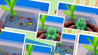 Learn Sea Animal Names, and colors and Counting numbers with Aqua Wa