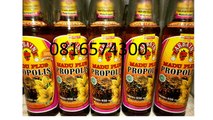 0816574300 Jual Madu Asli Lombok