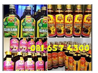 0816574300 (Indosat) Jual Madu Asli Indonesia