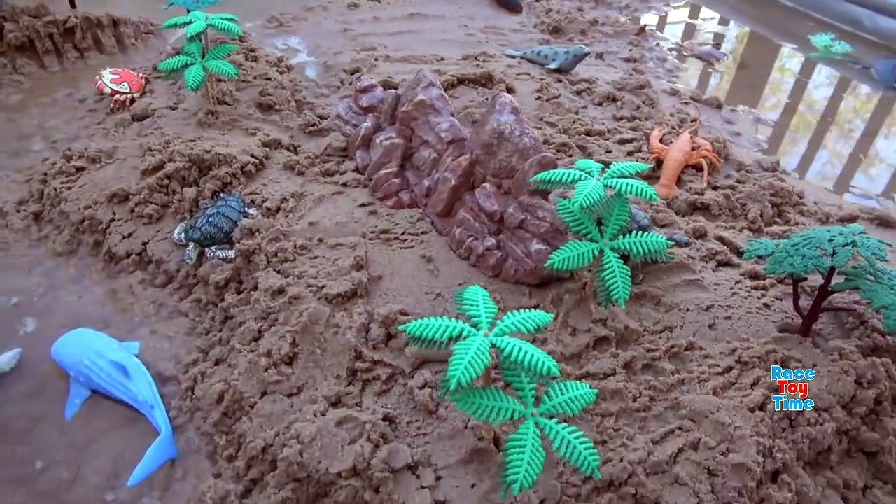 Sea Animals Island Sandbox - Learn Wild Animal Name