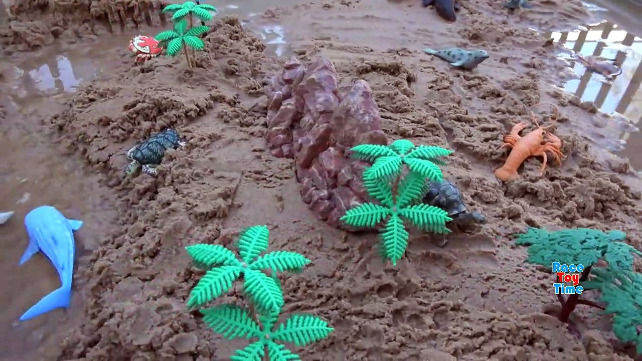 Sea Animals Island Sandbox - Learn Wild Animal Names For Kids!