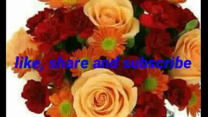 SSC Exams Me Puchhe Gaye Questions