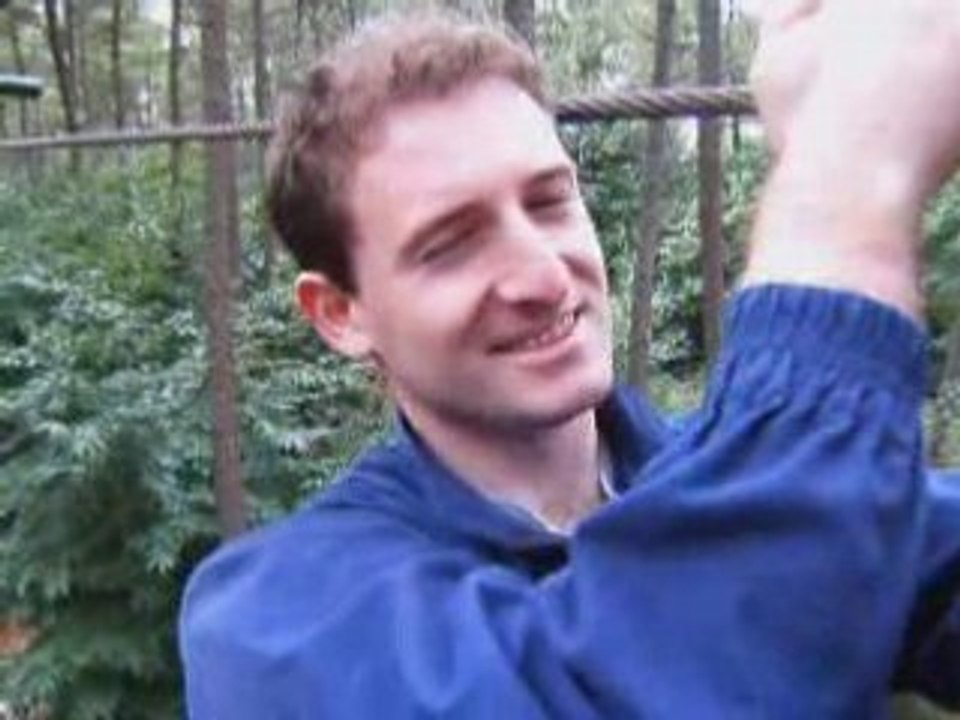 Promenons-nous dans les arbres...