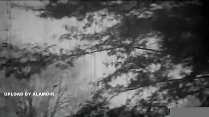 NIL AKASHER NICHE AMI