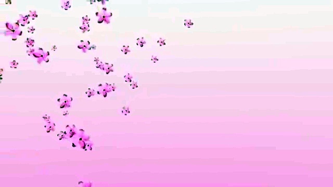 荒谷竜太さくら桜 (2)