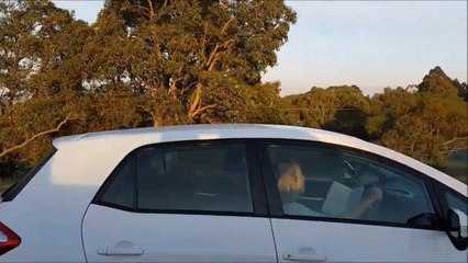 Quand ton bouquin est tellement bien que même en conduisant tu continus de lire!