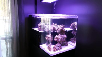 DIY aquarium Bio-Pellet reactor-2cJXsJUdOfk