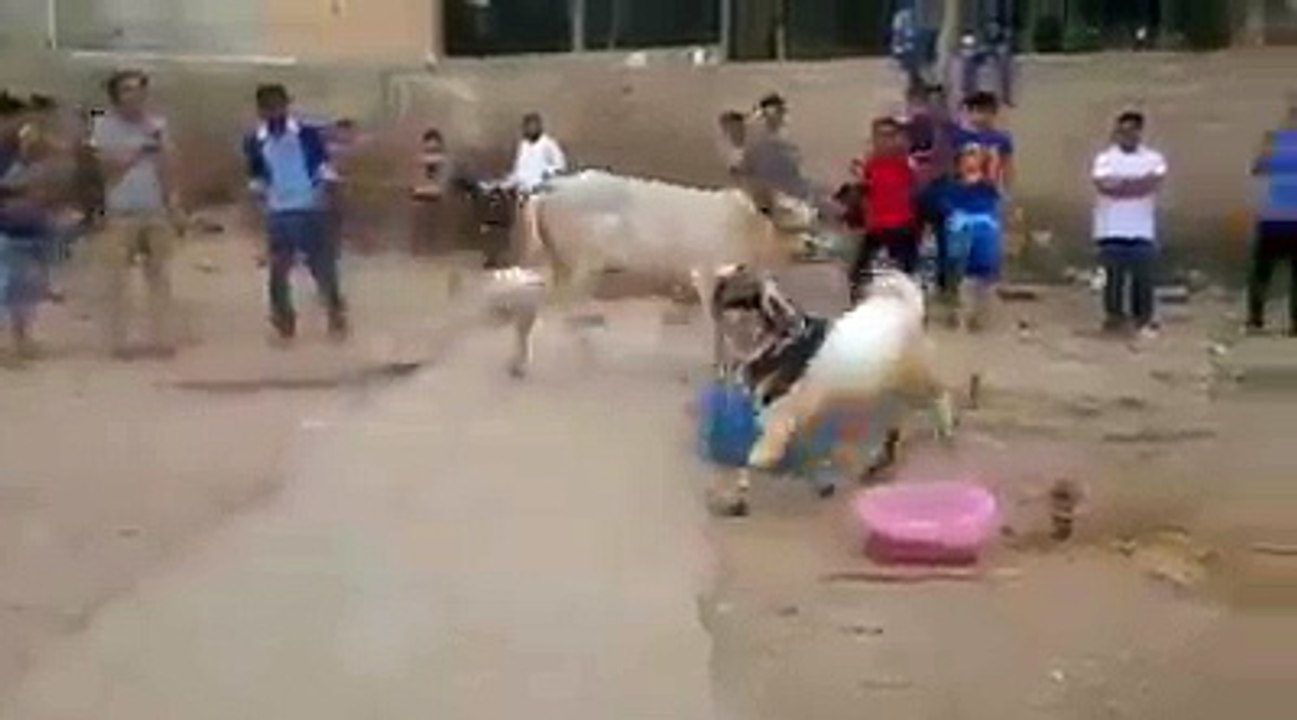 Fight Dangrous