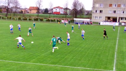 Niwa - Brzezina CZ.1