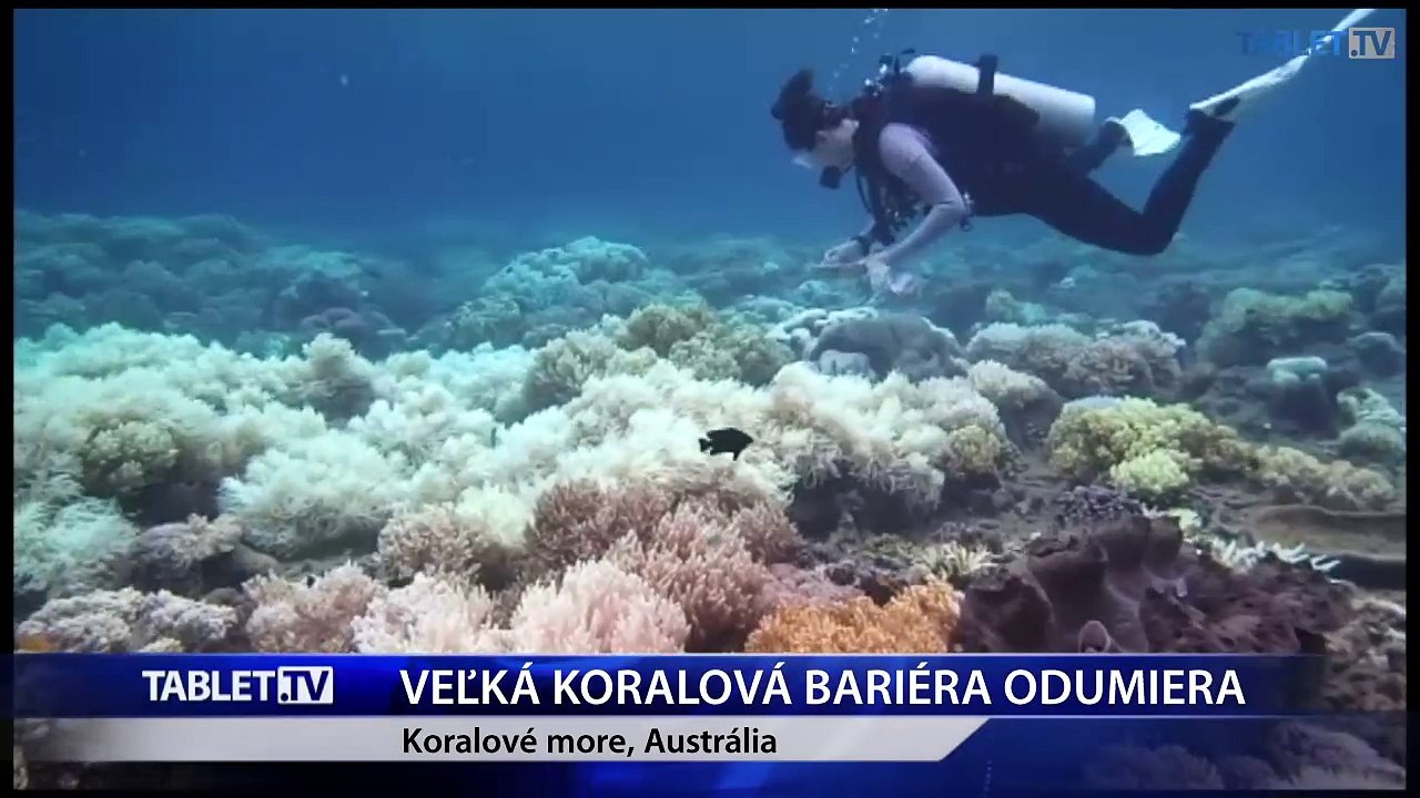 Veľká koralová bariéra odumiera: Vedci volajú po vojne proti globálnemu otepľovaniu a emisiám