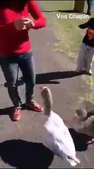 OMG Dont Laugh New Funny Video 2017