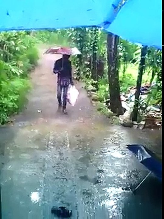 New Funny Video 2017