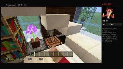 Présentation de ma Maison moderne (16)