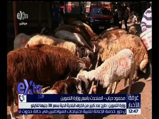 غرفة الأخبار | وزارة التموين : طرح عدد كبير من الخراف البلدية الحية بسعر 38 جنيهاً