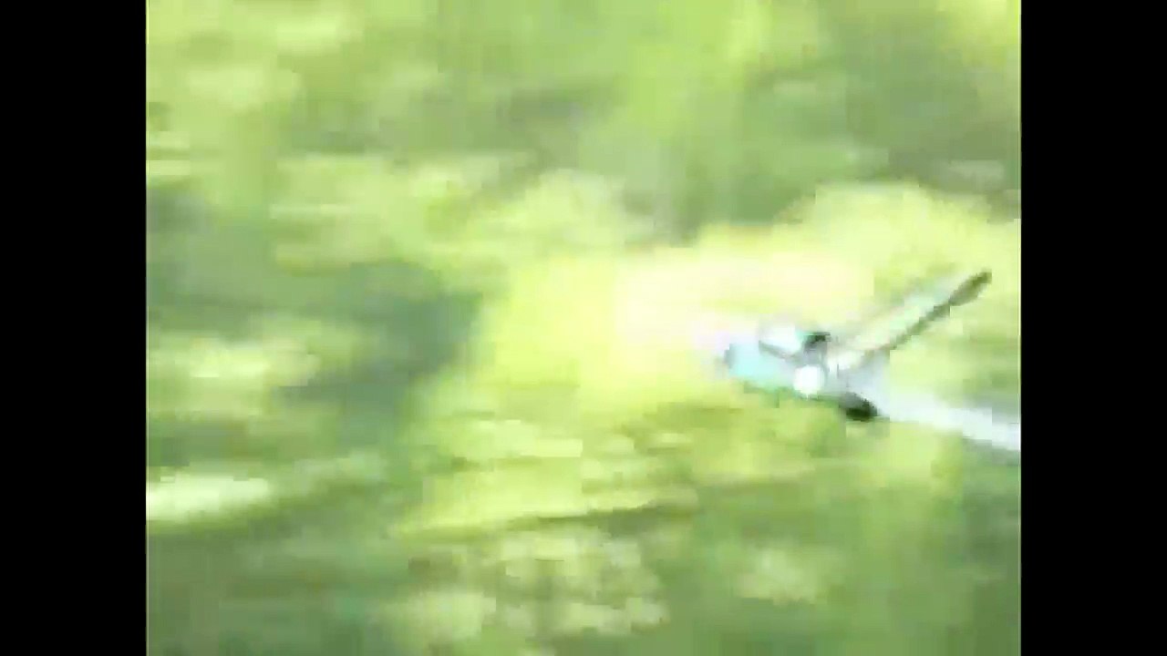 Uçan Çim Biçme Makinesi