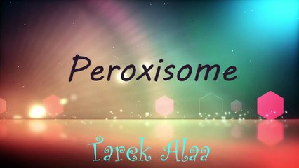 Peroxisome