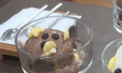 Sensasi Makan Es Krim Ditemani Kucing di Bandung