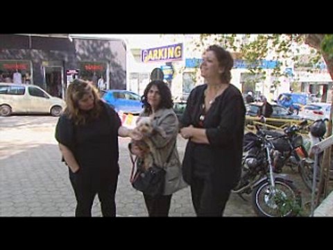 Συγκεντρώνουν δώρα για τα αδέσποτα ζώα οι εθελοντές φιλόζωοι της Λιβαδειάς