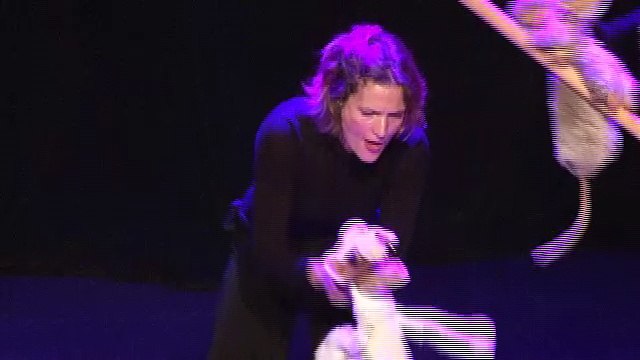 Théâtre : Enfablées ! Le monde merveilleux des Fables de la Fontaine - captation spectacle 2017 - streaming