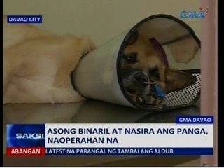 Saksi: Asong binaril at nasira ang panga, naoperahan na