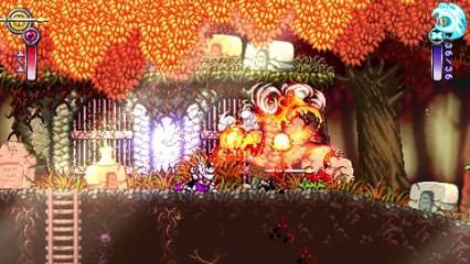 Battle Princess Madelyn - Vidéo Kickstarter