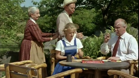 Hochzeit Auf Immenhof Ganzer Film