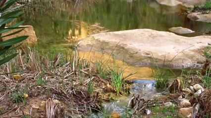 جمال الطبيعه في ليبيا . الجبل الاخضر , عين استوة