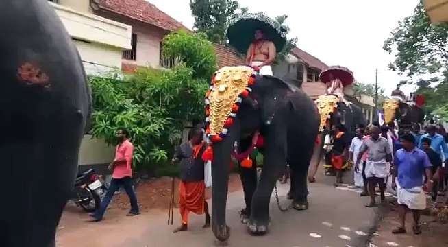 Thaïlande : Un éléphant éjecte une personne qui marche à côté de lui