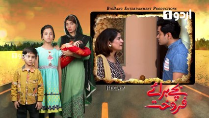 Bachay Baraye Farokht Episode 57 Urdu1