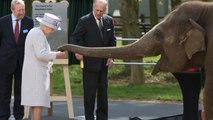 The Queen feeds Elephant Banana at Whipsnade Zoo