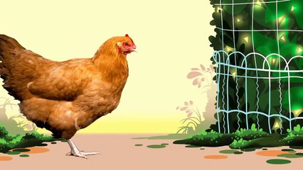 Chicken Bop - try and get this one out of your head.