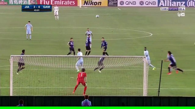 3-0 Hong Jeong-ho Goal AFC Asian Champions League Group H - 11.04.2017 Jiangsu Suning 3-0 Gamba Osaka