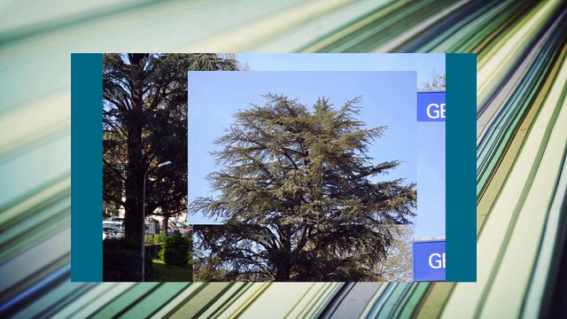 QUELQUES Perles du Languedoc Roussillon