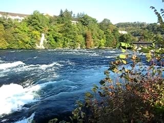 rheinfall - chutes du rhin