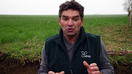 Thierry Desvaux, un sol vivant avec l'agriculture de conservation