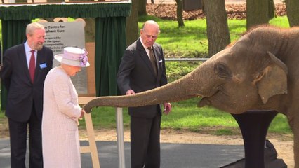 Grande-Bretagne: la reine inaugure un centre de soins pour éléphants