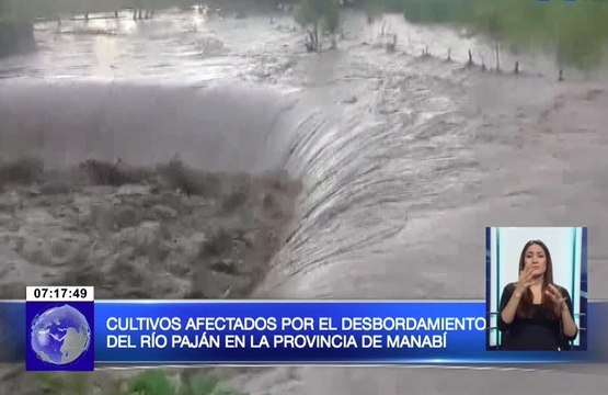 Cultivos afectados por el desbordamiento del río Paján en la provincia de Manabí