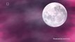 If You Missed the Pink Moon On Monday, You Can Still See It