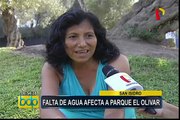 San Isidro: falta de agua afecta a parque El Olivar