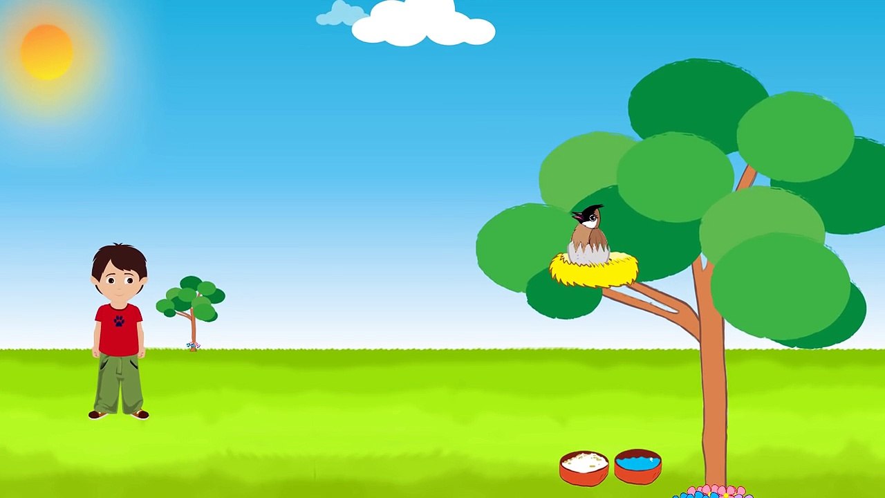 Bulbul ka Bacha (Urdu Poem)  (بلبل کا بچّہ (اردو نظم