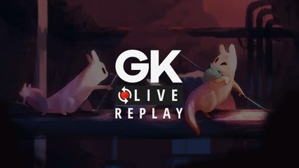 Run parfait sur Rain World - GK Live