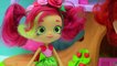 DIY Do It Yourself Craft Big Inspired Shopkins  ppies Doll From Disney Little Merma