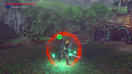 Fiera Deidad y Skyward Sword en Zelda: Breath of the Wild
