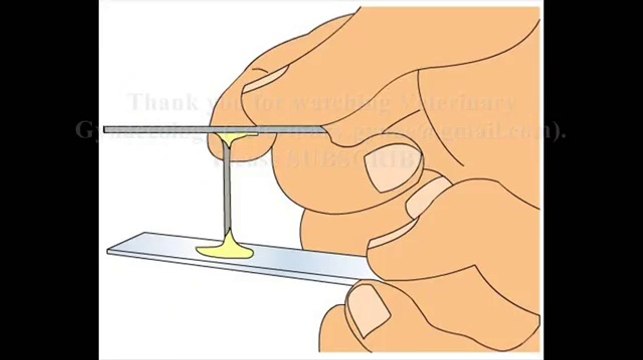 How to check fertility || FERN TEST | of Cervical Mucus at | OVULATION