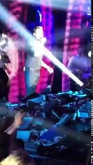 Έκανε βουτιά μέσα στα γαρύφαλλα